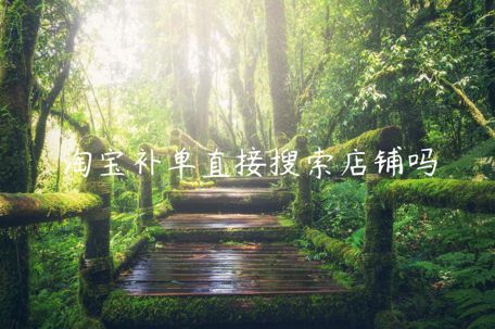 淘寶補(bǔ)單直接搜索店鋪嗎